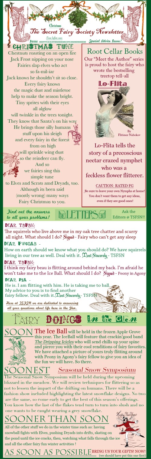 The Secret Fairy Society Christmas Special Advice Edition